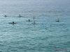 357-IMG_0976