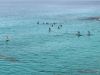 390-IMG_0964
