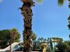 11-IMG_4955_R