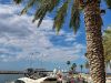 83-IMG_5117_R