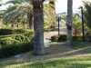 DSC03536