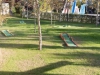 DSC03548