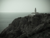 DSCF2766