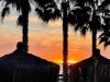 IMG-20211201-WA0212